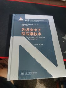 先进快中子反应堆技术