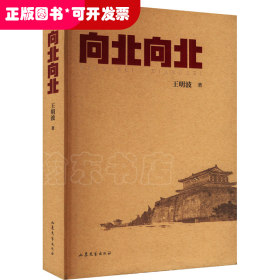 中国当代长篇小说－向北向北