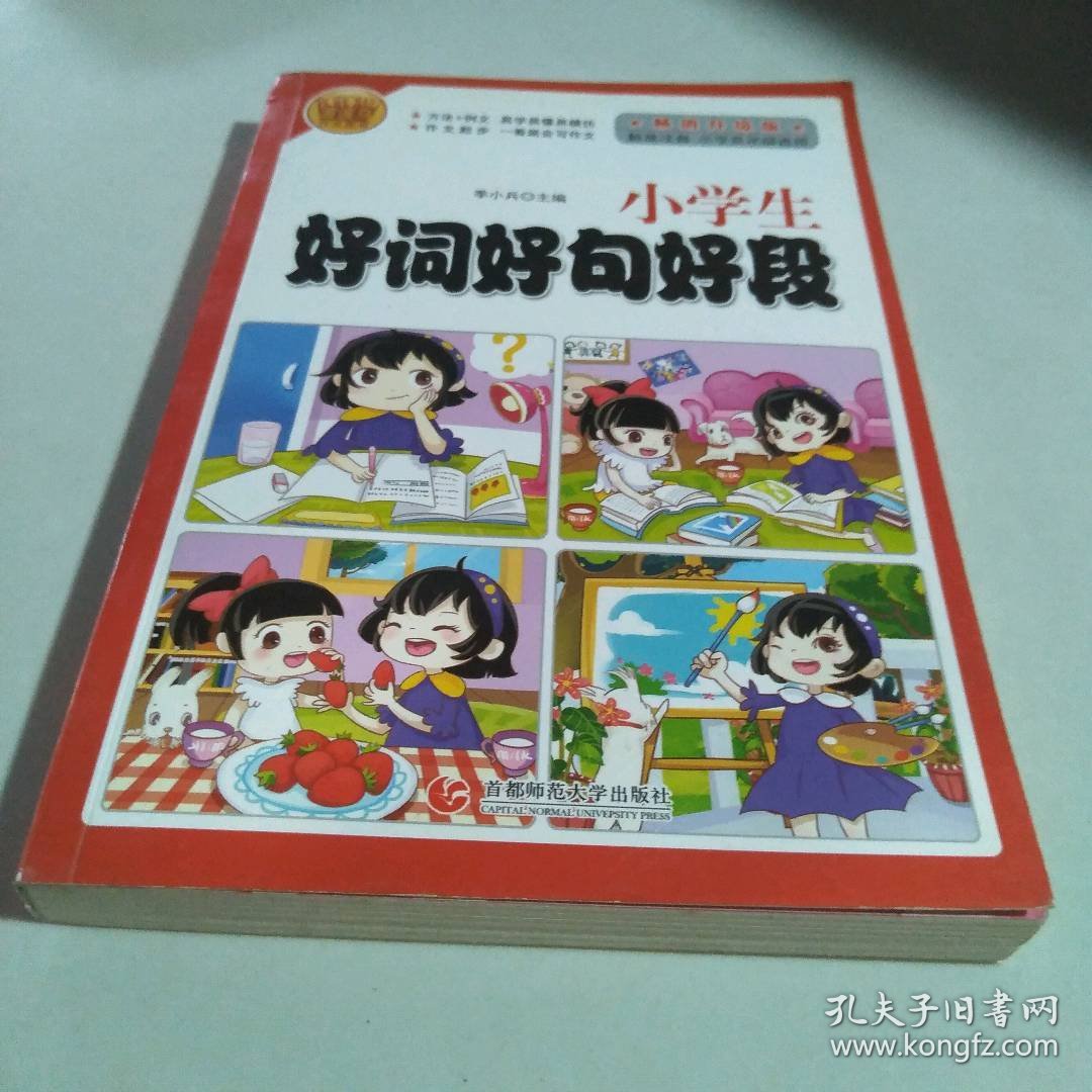 波波乌作文图书 小学生好词好句好段 畅销升级版 9787565632273