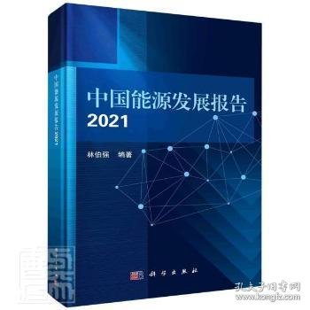 中国能源发展报告2021