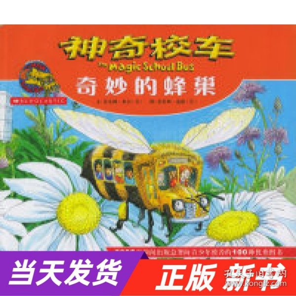 神奇校车 奇妙的蜂巢