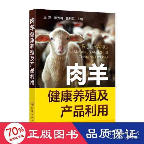 肉羊健康养殖及产品利用