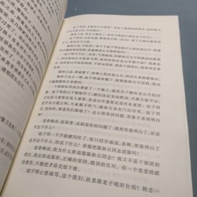 朝内166人文文库·中国当代长篇小说：马上天下