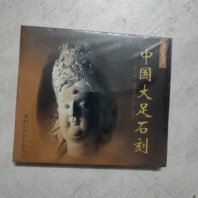 世界文化遗产 中国大足石刻 VCD