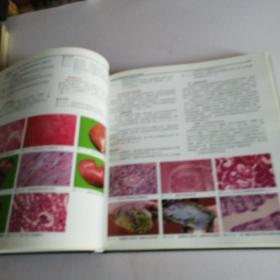 猪病类症鉴别诊断与防治彩色图谱（一版一印）