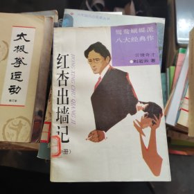 红杏出墙记（ 中册）馆藏书