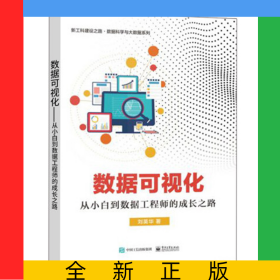 数据可视化――从小白到数据工程师的成长之路