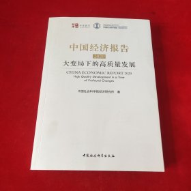 中国经济报告2020：大变局下的高质量发展