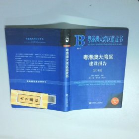 粤港澳大湾区建设报告 2019  粤港澳大湾区蓝皮书