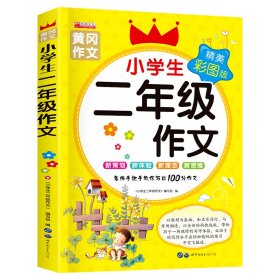 小学生二年级作文