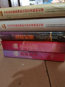 中共景谷傣族彝族自治县委执政纪要（10、11、13、14、15）5本