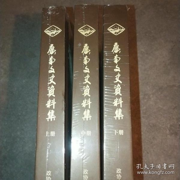 广南文史资料 上中下 未拆封*