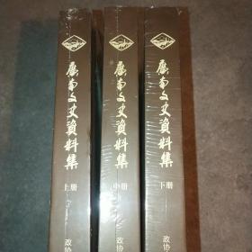 广南文史资料 上中下 未拆封*