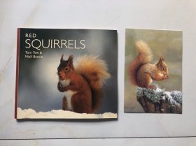 Red Squirrels \ Tom Tew Niall Benvie（内附签名贺卡）