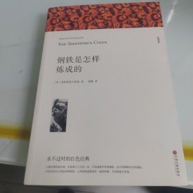 钢铁是怎样炼成的八年级下册初中生原著全译本完整版青少年中学生课外阅读小说文学世界名著