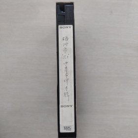 录像带，5.8中毒事件专辑