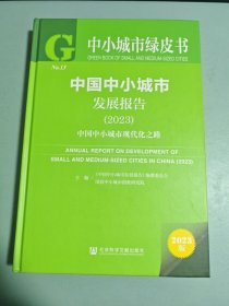 中国中小城市发展报告(2023中国中小城市现代化之路)(精)/中小城市绿皮书