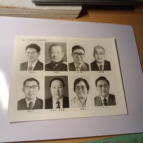 老照片–第八届中华人民共和国国务委员 大尺寸新闻旧照（1993年）