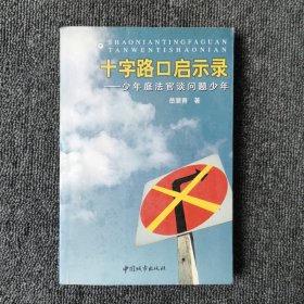 十字路口启示录：少年庭法官谈问题少年