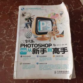 中文版Photoshop CS5从新手到高手  馆藏  无笔迹