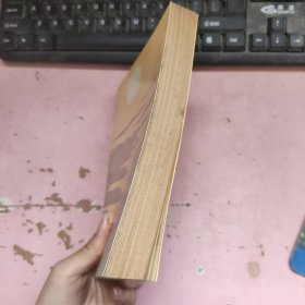 未完的征程 下