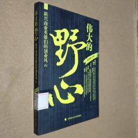 伟大的野心：新兴商业英雄们的创业风云