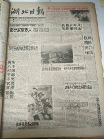 湖北日报1994年1月4日