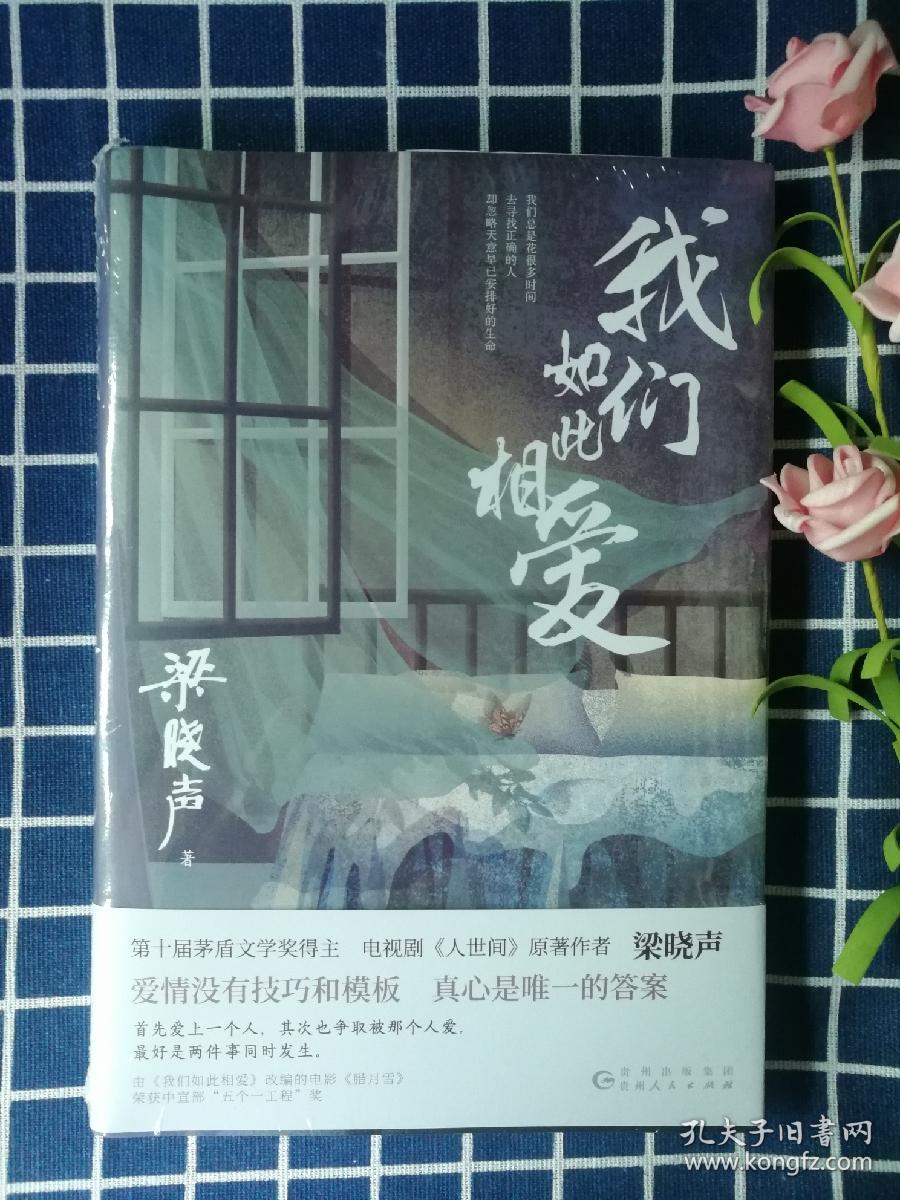 我们如此相爱（真爱之书！第十届茅盾文学奖得主、《人世间》作者梁晓声代表作。《我们如此相爱》改编电影《腊月雪》荣获中宣部“五个一工程”奖！）