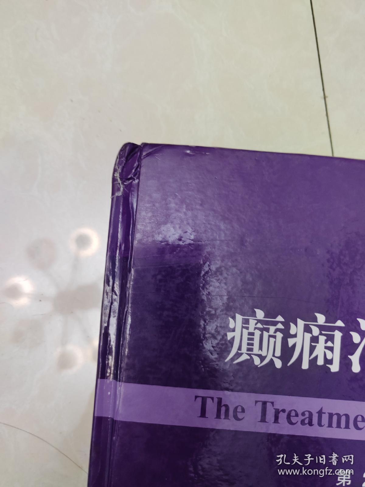 点击查看原图 癫痫治疗学