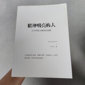 精神明亮的人:王开岭散文随笔自选集，？！