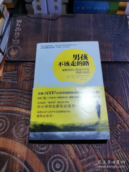 男孩不该走的路：破解男孩心智成长中的困惑与危险