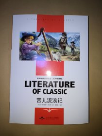 苦儿流浪记 中小学生新课标课外阅读·世界经典文学名著必读故事书 名师精读版