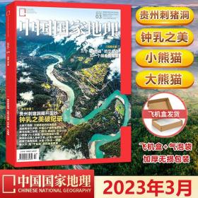 【赠海报】中国国家地理杂志2023年3月贵州刺猪洞专题 钟乳之美 