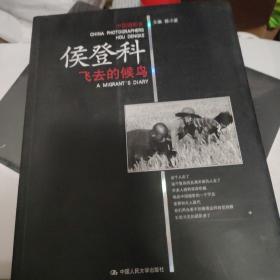 飞去的候鸟