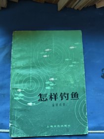 怎样钓鱼