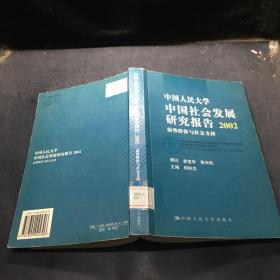 中国社会发展研究报告2002