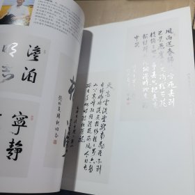 山东老年书画名家作品集 收藏观摩品