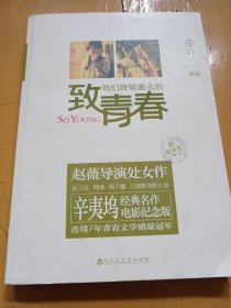 致我们终将逝去的青春：电影纪念版
