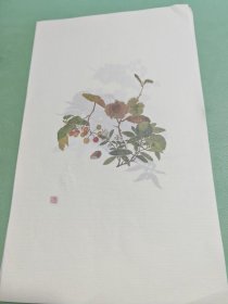 画册