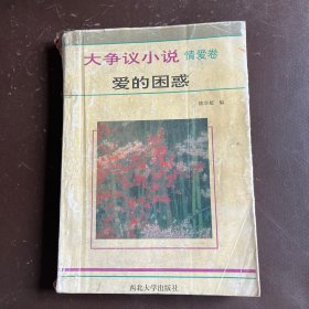 爱的困惑/大争议小说·情爱卷