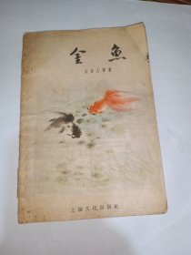 金鱼（吴吉人）