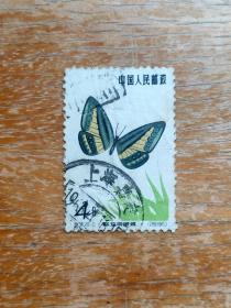 特56蝴蝶旧邮票1枚。