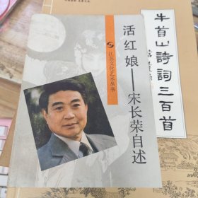 活红娘—宋长荣自述