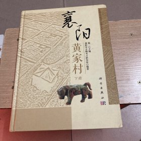 襄阳黄家村 下册 大型考古发掘报告
