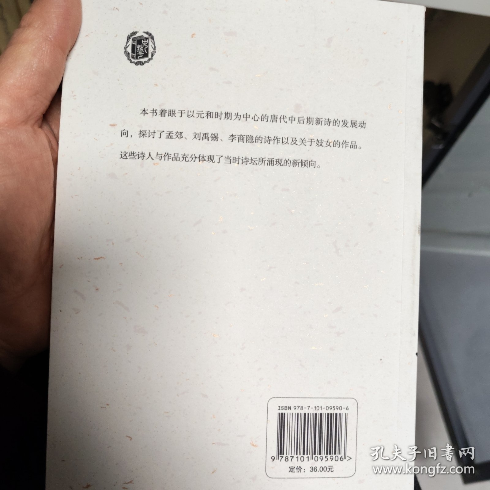 文字觑天巧：中晚唐诗新论