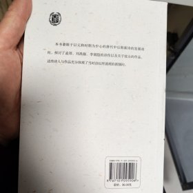文字觑天巧：中晚唐诗新论