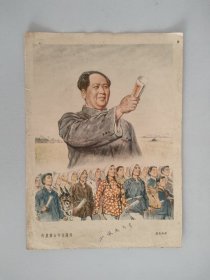 向农业合作化迈进