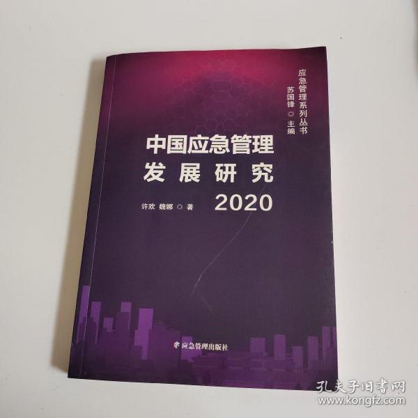 中国应急管理发展研究2020