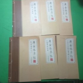 国学经典 瘦金体字帖 千字文三字经论语节选 红楼梦诗词集 笔画入门 纳兰性德诗词集 李清照诗词集 上林赋子虚赋（全六册）