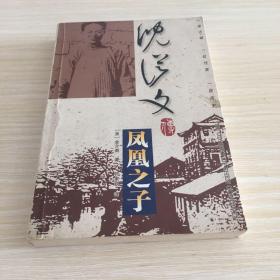 凤凰之子――沈从文传